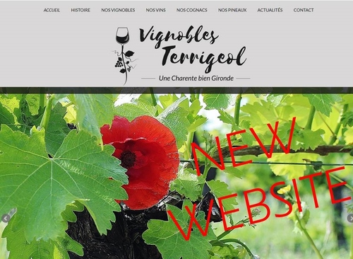 NEW WEBSITE